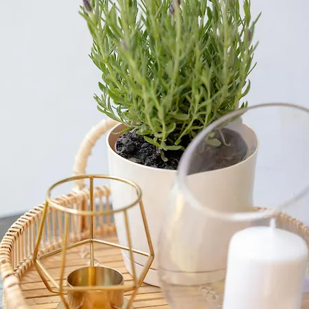 Pinea Dream 104 - Tuz Przy Plazy, Z Widokiem Na Morze, Parkingiem I Wifi W Cenie Pobytu - Easy-rent Appartement